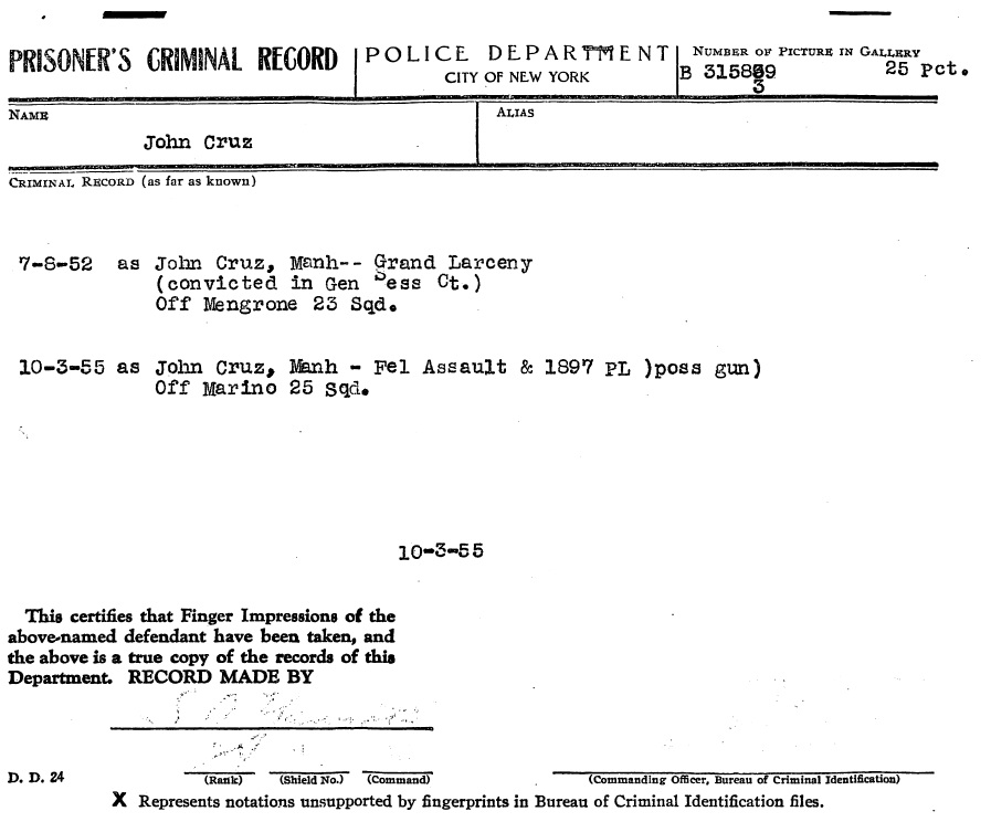 NYPD New York City Fighting Gangs